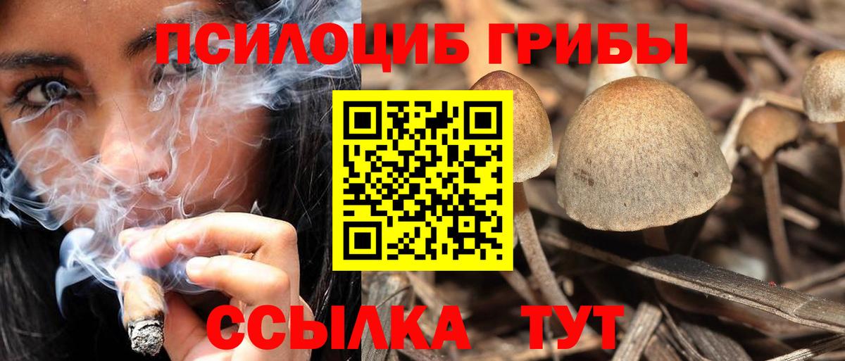 Галлюциногенные грибы Cubensis  Вход с VPN  хочу наркоту  Сертолово 