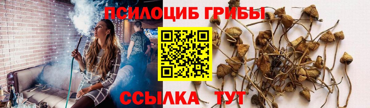 Галлюциногенные грибы Magic Shrooms Сертолово